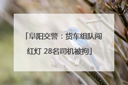 阜阳交警：货车组队闯红灯 28名司机被拘